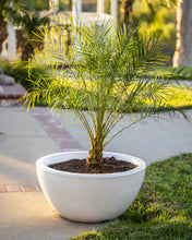 30" Round Luna Planter Bowl - GFRC Concrete - Ash -