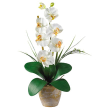 21" Single Stem Phalaenopsis Silk Orchid Arrangement