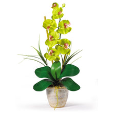 21" Artificial Single Stem Phalaenopsis Silk Orchid Arrangement