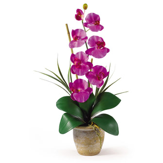 21" Artificial Single Stem Phalaenopsis Silk Orchid Arrangement