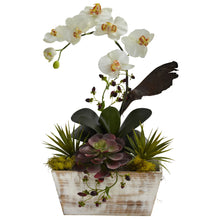 21" Artificial Orchid & Succulent Garden w/White Wash Planter - Low Maintenance, Life-Like & Vibrant Silk Flowers For Busy People.