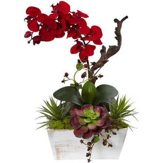 21" Artificial Spring Orchid In A Succulent Garden w/White Wash Planter