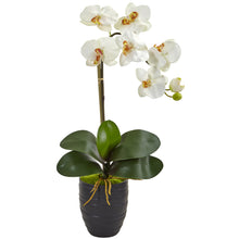 22.5" Artificial Phalaenopsis Orchid in Black Vase
