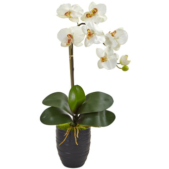 22.5" Artificial Phalaenopsis Orchid in Black Vase
