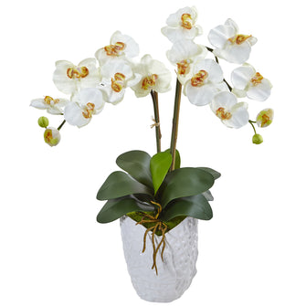 23" Artificial Double Phalaenopsis Orchid in White Vase - Low Maintenance, Life-Like & Vibrant Silk Flowers For Busy People.