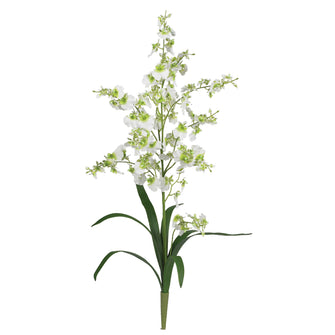 29" Artificial Dancing Lady (Set of 12) - Low Maintenance, Life-Like & Vibrant Silk Flowers For Busy People.