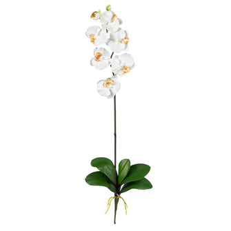 31" Artificial Phalaenopsis Silk Orchid Flower w/Leaves 6 Stems) - Low Maintenance, Life-Like & Vibrant Silk Flowers For Busy People.
