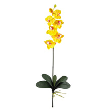 31" Artificial Phalaenopsis Silk Orchid Flower w/Leaves 6 Stems) - Low Maintenance, Life-Like & Vibrant Silk Flowers For Busy People.