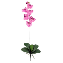 31" Artificial Phalaenopsis Silk Orchid Flower w/Leaves 6 Stems) - Low Maintenance, Life-Like & Vibrant Silk Flowers For Busy People.