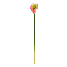 19.5" Artificial Calla Lily Flower (Set of 12) - Low Maintenance, Life-Like & Vibrant Silk Flowers For Busy People.