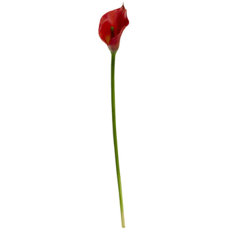 19.5" Artificial Calla Lily Flower (Set of 12) - Low Maintenance, Life-Like & Vibrant Silk Flowers For Busy People.