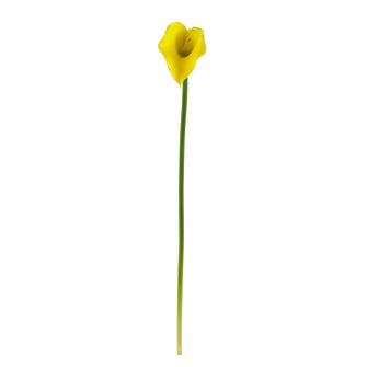 19.5" Artificial Calla Lily Flower (Set of 12) - Low Maintenance, Life-Like & Vibrant Silk Flowers For Busy People.