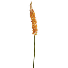 48" Artificial Fox Tail Flower (Set of 3) - Low Maintenance, Life-Like & Vibrant Silk Flowers For Busy People.
