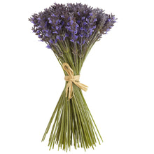 19" Artificial Lavender Bundle Flower (144 lavender floral included) - Low Maintenance, Life-Like & Vibrant Silk Flowers For Busy People.