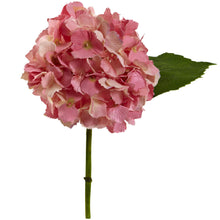 12" Artificial Hydrangea Flower (Set of 12) - Low Maintenance, Life-Like & Vibrant Silk Flowers For Busy People.