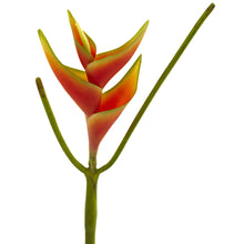 14'' Artificial Mini Heliconia Flower (Set of 6) - Low Maintenance, Life-Like & Vibrant Silk Flowers For Busy People.