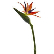 35" Artificial Bird of Paradise Flower (Set of 4) - Low Maintenance, Life-Like & Vibrant Silk Flowers For Busy People.