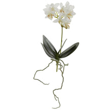 13" Artificial Mini Orchid Phalaenopsis Flower (Set of 6) - Low Maintenance, Life-Like & Vibrant Silk Flowers For Busy People.