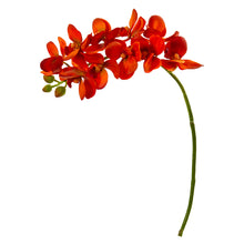21" Artificial Phalaenopsis Orchid (Set of 6) - Low Maintenance, Life-Like & Vibrant Silk Flowers For Busy People.