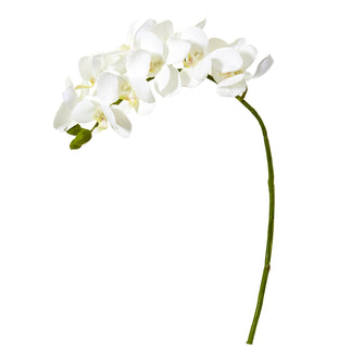 21" Artificial Phalaenopsis Orchid Flower (Set of 6) - Low Maintenance, Life-Like & Vibrant Silk Flowers For Busy People.
