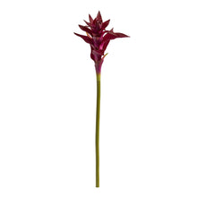 23" Artificial Star Bromeliad Flower (Set of 6) - Low Maintenance, Life-Like & Vibrant Silk Flowers For Busy People.