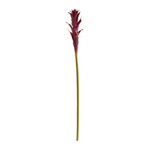 28" Artificial Mini Star Bromeliad Flower (Set of 6) - Low Maintenance, Life-Like & Vibrant Silk Flowers For Busy People.