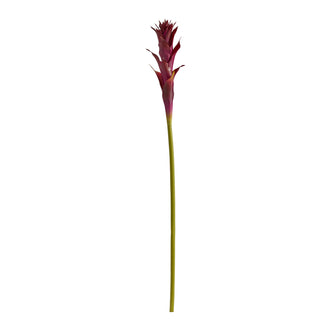 28" Artificial Mini Star Bromeliad Flower (Set of 6) - Low Maintenance, Life-Like & Vibrant Silk Flowers For Busy People.