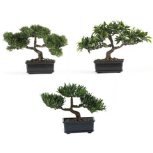 12" Artificial Bonsai Silk Plant Collection (Set of 3) - Low Maintenance, Life-Like & Vibrant Silk Trees For Busy People.