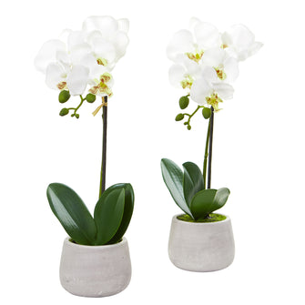 15" Artificial Phalaenopsis Orchid Arrangement (Set of 2) - Low Maintenance, Life-Like & Vibrant Silk Flowers For Busy People.