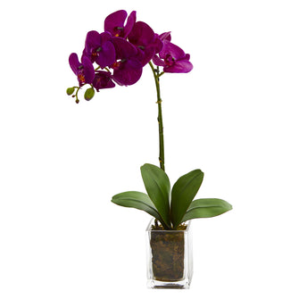 24" Artificial Orchid Phalaenopsis Arrangement in Vase - Low Maintenance, Life-Like & Vibrant Silk Flowers For Busy People.