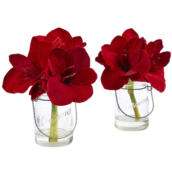 11" Artificial Amaryllis in Glass Vase (Set of 2) - Low Maintenance, Life-Like & Vibrant Silk Flowers For Busy People.
