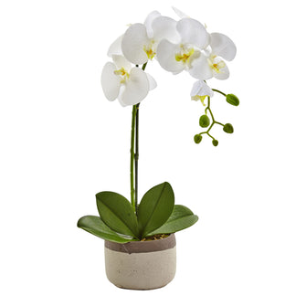 19" Artificial Phalaenopsis Orchid in Ceramic Pot