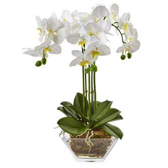 24" Artificial Triple Phalaenopsis Orchid in Glass Vase