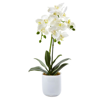 18.5 Artificial Phalaenopsis in Frosted Glass, Low Maintenance Life-Like Flower That Beams Vibrance.