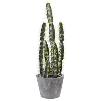 17.5" Artificial Decorative Cactus Garden w/Cement Planter - Low Maintenance, Life-Like & Vibrant Silk Plants For Busy People.