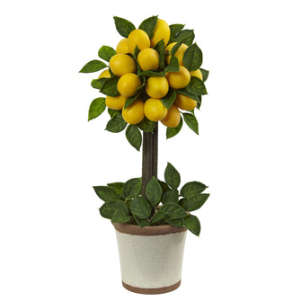 18" Lemon Ball Topiary Arrangement