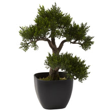 15" Artificial Cedar Bonsai - Low Maintenance, Life-Like & Vibrant Silk Trees For Busy People.
