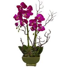21" Artificial Orchid & Succulent Arrangement - Low Maintenance, Life-Like & Vibrant Silk Flowers For Busy People.