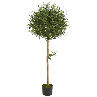 5' Artificial Olive Topiary Tree - Low Maintenance, Life-Like & Vibrant Silk Trees For Busy People.