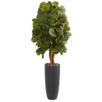 5.5' Artificial Fiddle Leaf Tree in Gray Cylinder Planter - Low Maintenance, Life-Like & Vibrant Silk Trees For Busy People.