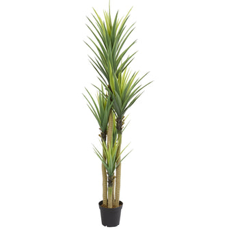 82" Artificial Dracaena Plant - Low Maintenance, Life-Like & Vibrant Silk Plants For Busy People.