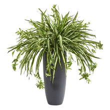 33'' Artificial Spider Plant in Cylinder Planter - Low Maintenance, Life-Like & Vibrant Silk Plants For Busy People.
