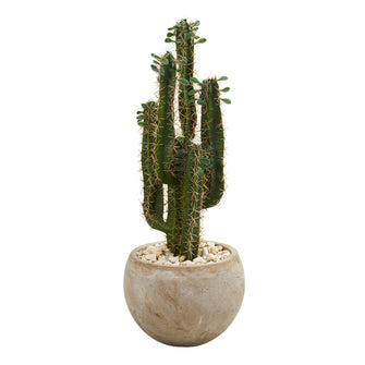 2.5' Artificial Cactus in Bowl Planter - Low Maintenance, Life-Like & Vibrant Silk Plants For Busy People.