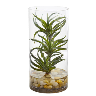 12" Artificial Air Plant Succulent in Glass Vase - Low Maintenance, Life-Like & Vibrant Silk Plants For Busy People.