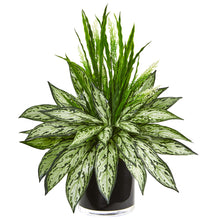 20" Artificial Silver Queen and Grass in Black Vase - Low Maintenance, Life-Like & Vibrant Silk Plants For Busy People.