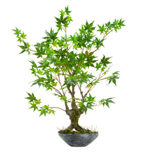 30" Artificial Maple Bonsai Tree in Planter - Low Maintenance, Life-Like & Vibrant Silk Trees For Busy People.