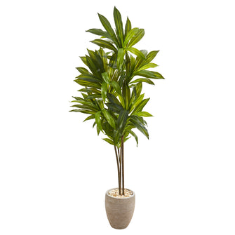 68" Artificial Dracaena Plant in w/Planter (Real Touch) - Low Maintenance, Life-Like & Vibrant Silk Plants For Busy People.