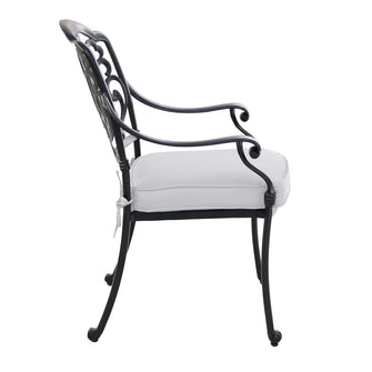 Patio Armchair With  Cushion, All-Weathered Aluminum, Delivered Free.