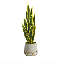 34" Sansevieria Artificial Plant in Stoneware Planter with Gold Trimming - Low Maintenance, Life-Like & Vibrant Silk Plants For Busy People.
