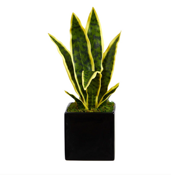 16"Artificial Sansevieria Plant in Black Planter - Low Maintenance, Life-Like & Vibrant Silk Plants For Busy People.